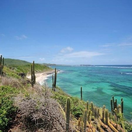Hamo Tropical Piscine Proche Plage Lejlighed Sainte-Anne Eksteriør billede
