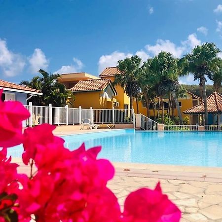 Hamo Tropical Piscine Proche Plage Lejlighed Sainte-Anne Eksteriør billede