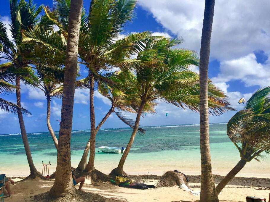 Hamo Tropical Piscine Proche Plage Lejlighed Sainte-Anne Eksteriør billede