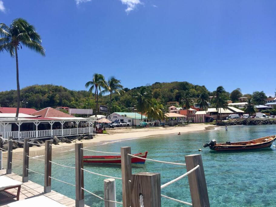 Hamo Tropical Piscine Proche Plage Lejlighed Sainte-Anne Eksteriør billede