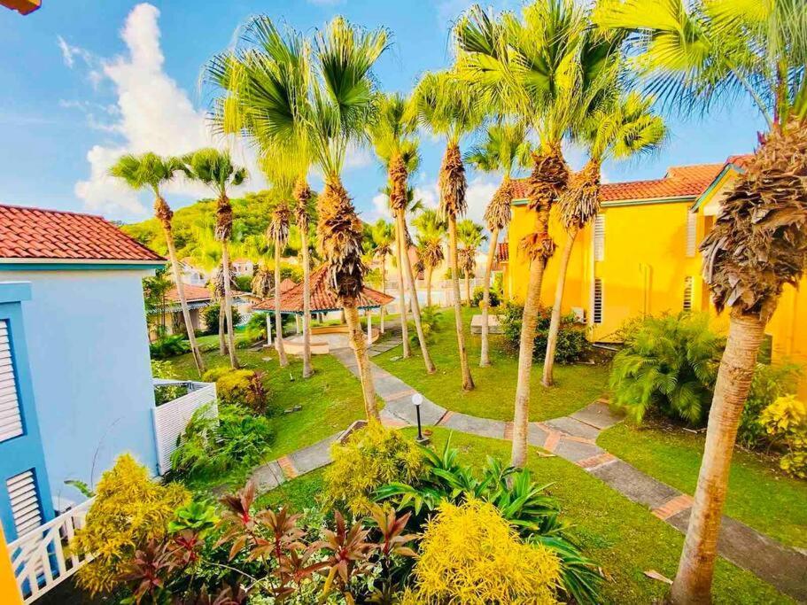 Hamo Tropical Piscine Proche Plage Lejlighed Sainte-Anne Eksteriør billede