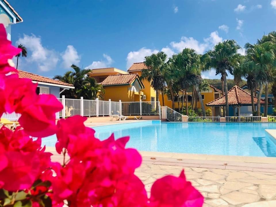 Hamo Tropical Piscine Proche Plage Lejlighed Sainte-Anne Eksteriør billede